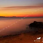 Matea *